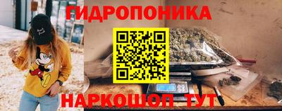 прущие грибы Камышлов