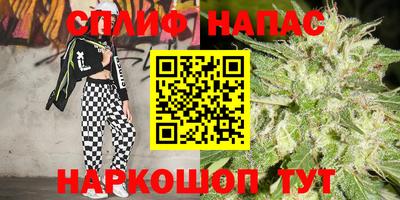 стаф Канаш