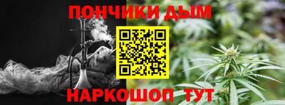 прущие грибы Камышлов