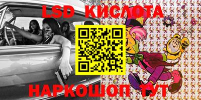 прущие грибы Камышлов