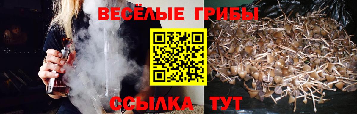 Псилоцибиновые грибы прущие грибы Лабытнанги